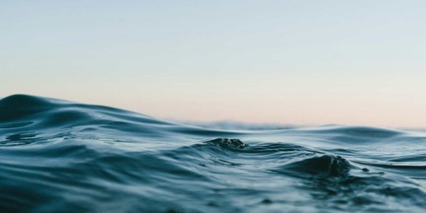 Navigating opportunities