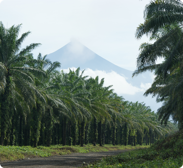 ESG Policy Documents