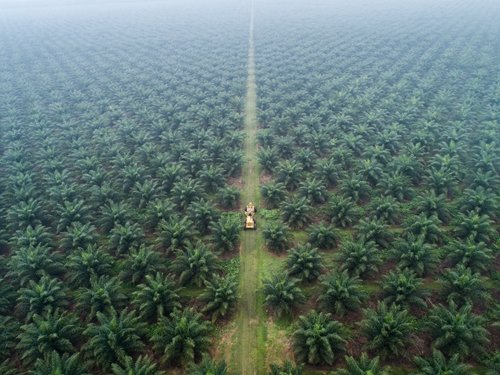 energy-and-resources