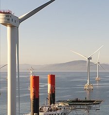 Sustainability report 2024